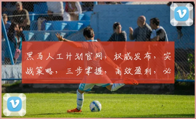 黑马人工计划官网，权威发布，实战策略，三步掌握，高效盈利，必看攻略